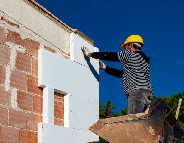Best Energy-efficient Insulation  in Dixon, CA